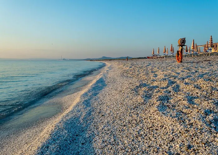 Spacious Flat With Pool