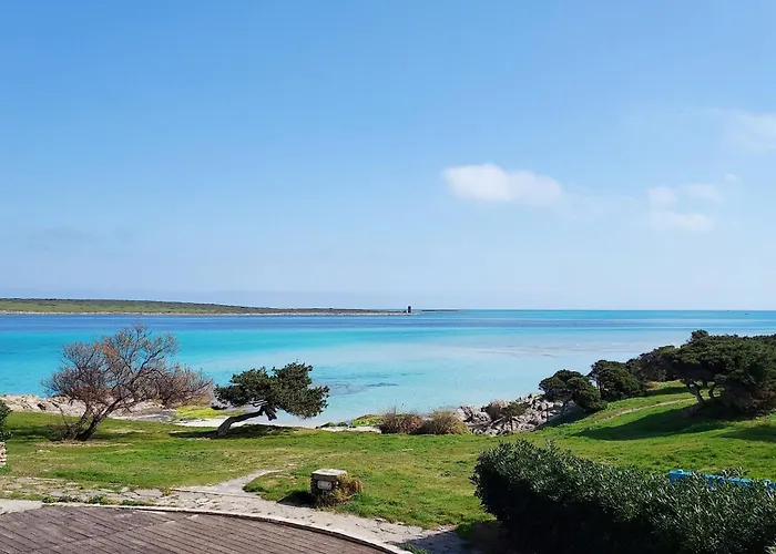 Spacious Flat With Pool