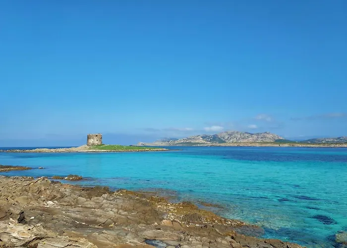 Spacious Flat With Pool Apartment Sassari