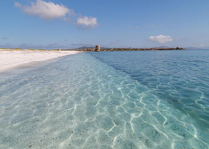 Spacious Flat With Pool * Sassari